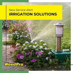 Weed Pro Lawn Care