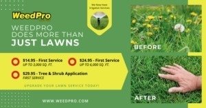 Weed Pro Lawn Care