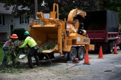 Stumpy's Tree Service
