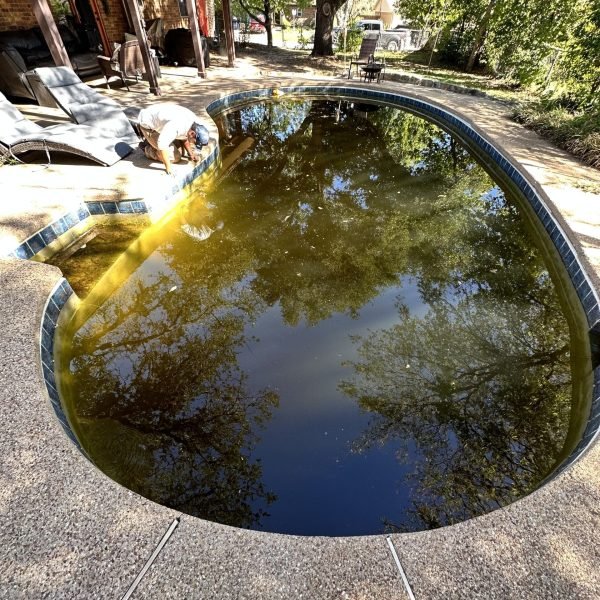 Clear Impressions Pool Service