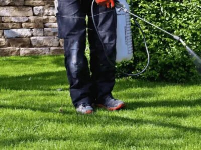Weed Pro Lawn Care