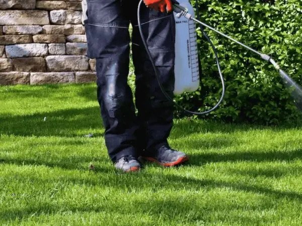 Weed Pro Lawn Care