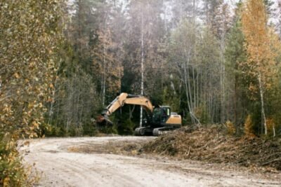 Bear Claw Land Services