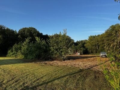 Land Clear