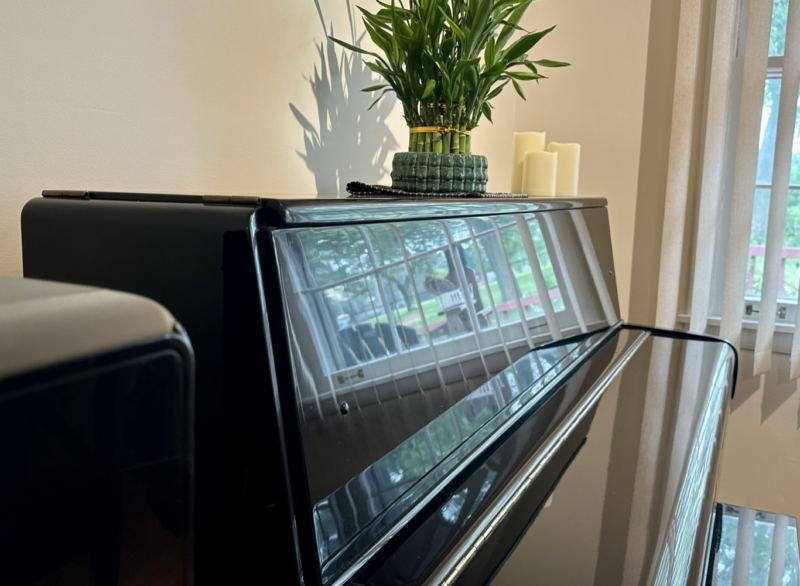 Stay Fresh Cleaning Services