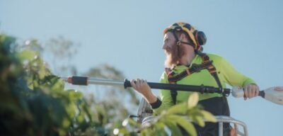 Diamond Tree Services