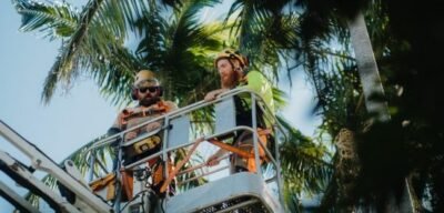Diamond Tree Services