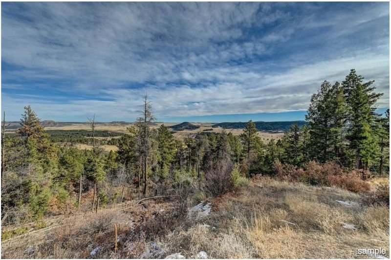 Clear Creek Fire Mitigation