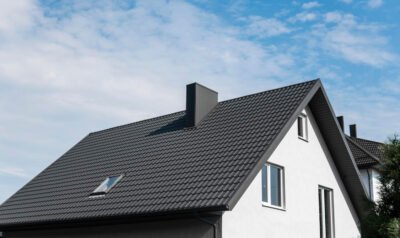 Skylight Windows Doors Roofing